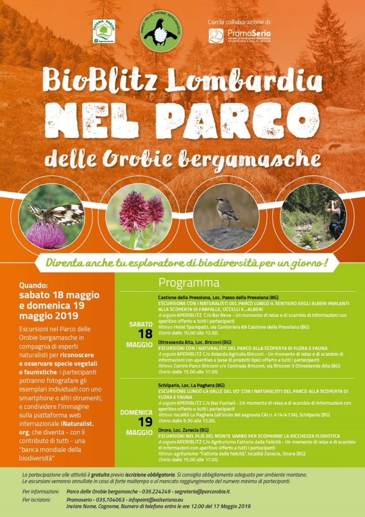 Bioblitz