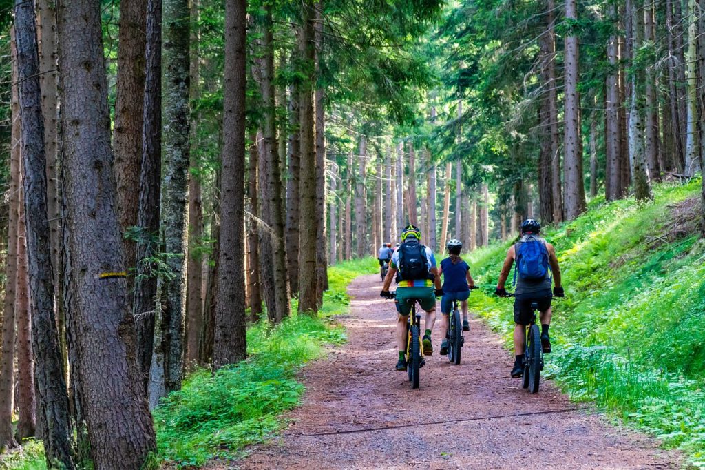 Punti di noleggio e ricarica ebike