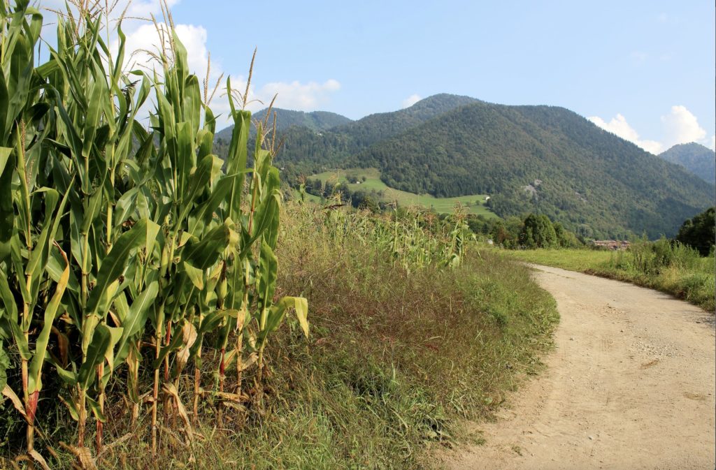 un giro tra campi e sapori