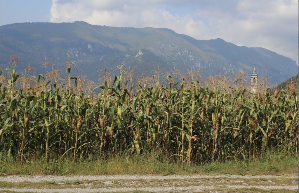 un giro tra campi e sapori