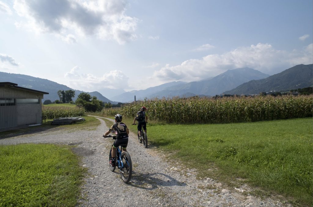 un giro tra campi e sapori