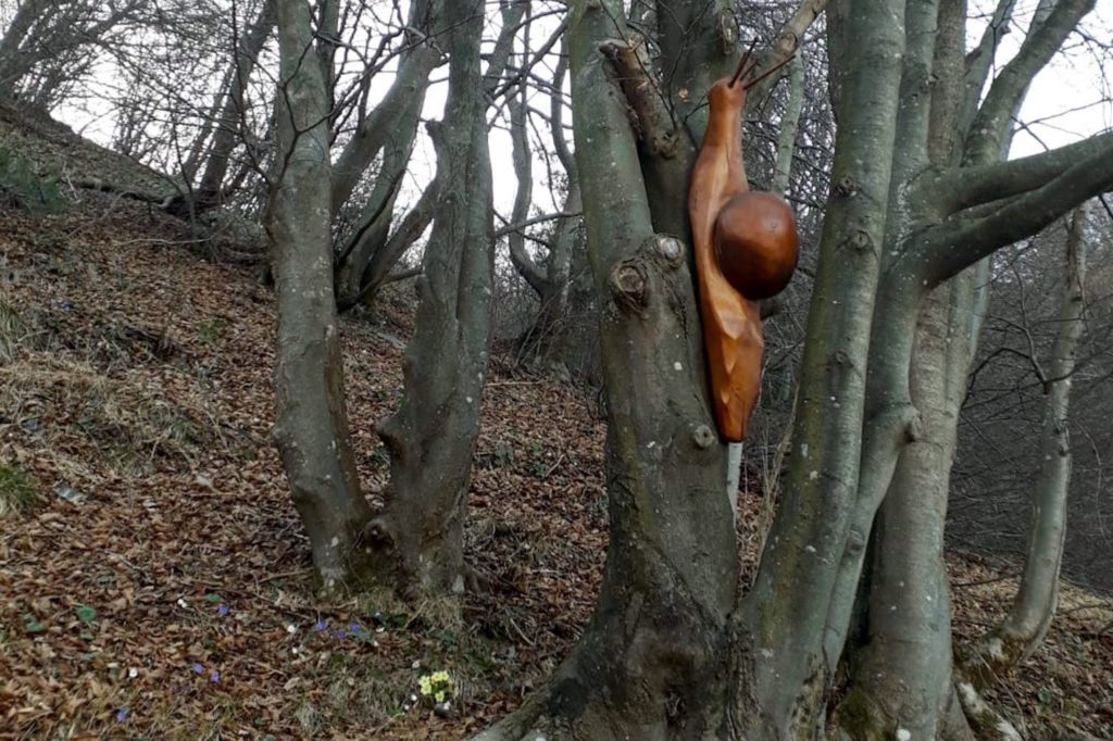 lumaca_cima_buldet_
