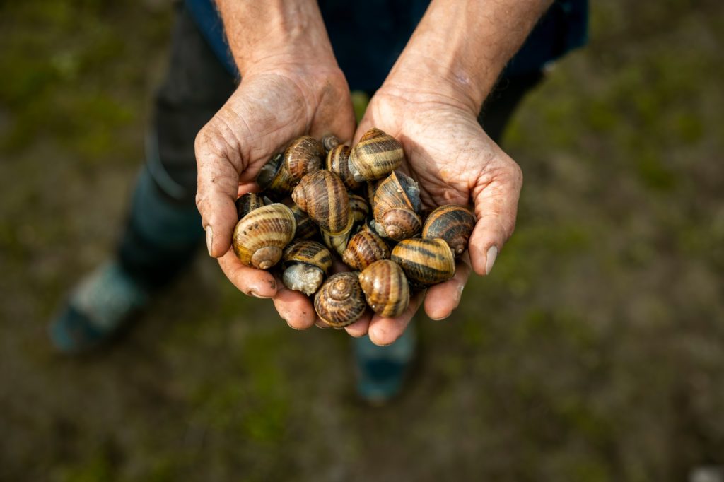 Azienda Tramonti Blu