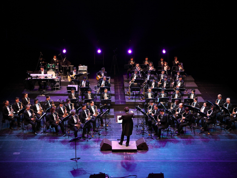 Concerto Piccola Orchestra Popolare