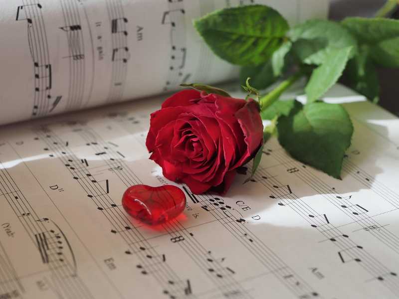 Intrattenimento Musicale